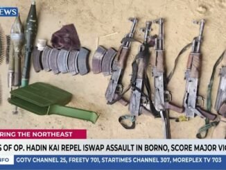 Troops eliminate ISWAP Terrorists in Borno