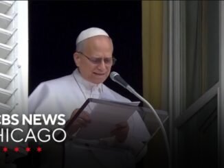 Pope Leo XIV Calls for Peace