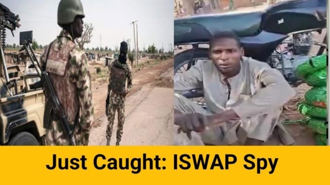 Nigerian Forces Nab Suspected ISWAP Informant