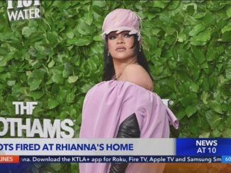 Rihanna fled LA after domestic attack