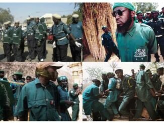 Kano hisbah arrest teens over birthday party