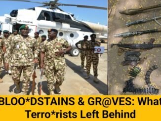 Nigerian troops crush terrorist attack in Yobe