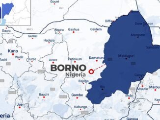Three captives escape from terrorists in Borno State