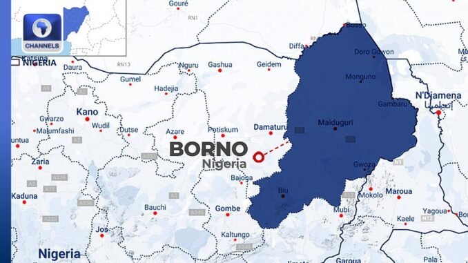 Three captives escape from terrorists in Borno State