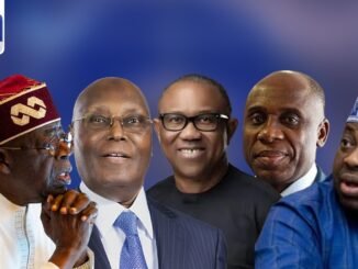 Tinubu will lose If Atiku contests with Obi or Amaechi - Dele Momodu
