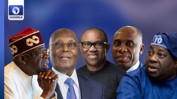 Tinubu will lose If Atiku contests with Obi or Amaechi - Dele Momodu