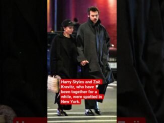 Harry Styles and Zoë Kravitz spotted together in New York