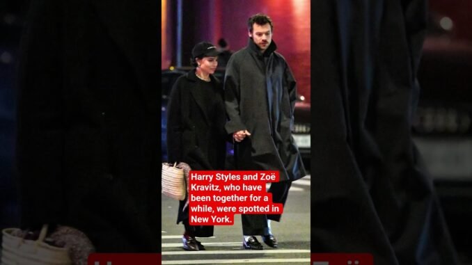 Harry Styles and Zoë Kravitz spotted together in New York