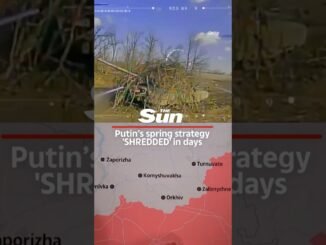 Putin loyalist betrays Russia