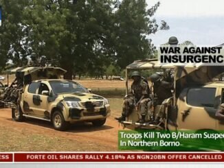 Troops apprehended Boko Haram members in Borno