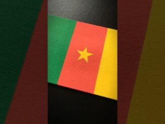Cameroonian Broadcaster Sparks Relationship Debate