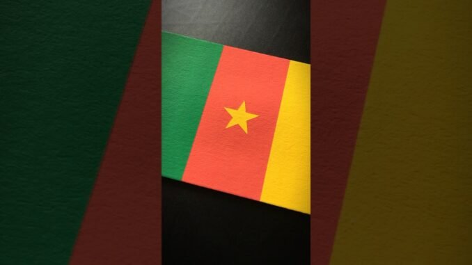 Cameroonian Broadcaster Sparks Relationship Debate