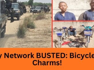 Troops Arrest Two Terror Informants in Borno