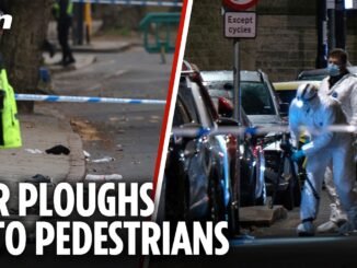 UK driver arrested for an intended auto crash on pedestrian way