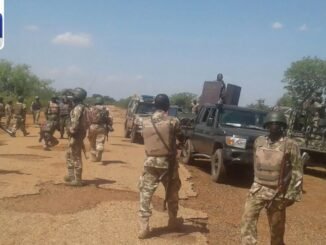 Nigerian Army arrests suspects in Borno