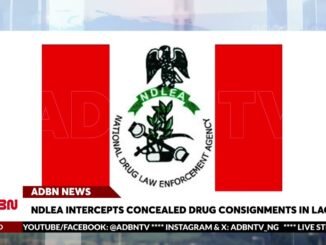 NDLEA intercept drug shipments at Lagos Airport
