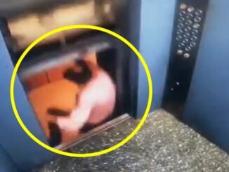 Man cheats death as faulty elevator flings him in India
