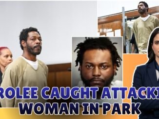 Bystanders Stop Paroled Man in Central Park