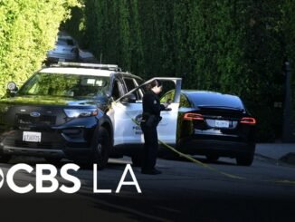 Suspect in Rihanna Home