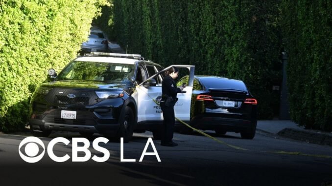 Suspect in Rihanna Home