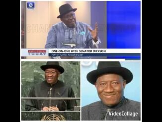 APC United Only to Oust PDP and Jonathan