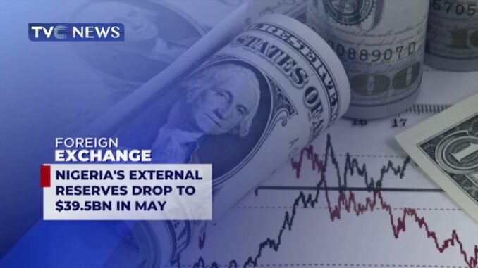 External Reserves Fall to $49.6B, Naira Weakens