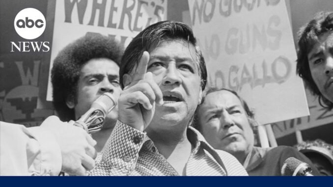 US Civil Rights leader Cesar Chavez accused of sexual abuse