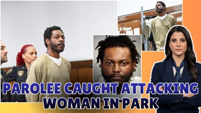 Bystanders intervene to stop attack on woman in New York's Central Park