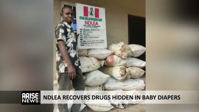 NDLEA arrests former Lagos Council Boss for hiding drugs in diapers