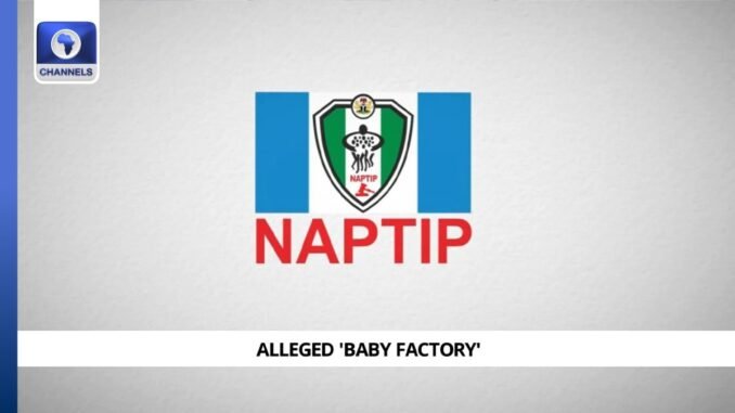 NAPTIT convicts Ondo baby factory operator