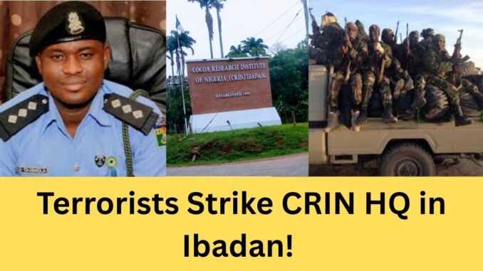 Gunmen Kidnap Four Cocoa Farmers