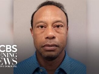 Tiger Woods released after arrest in Florida