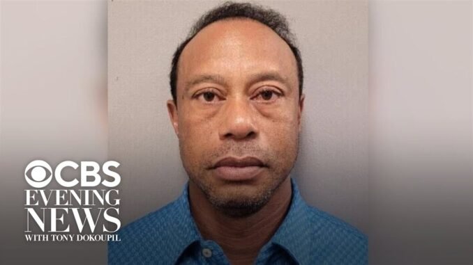 Tiger Woods released after arrest in Florida