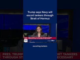 Trump promises safety for ships passing strait of hormuz