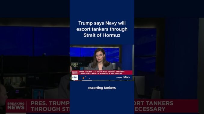 Trump promises safety for ships passing strait of hormuz
