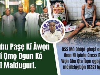 Nigerian Student Caught with N49 Million