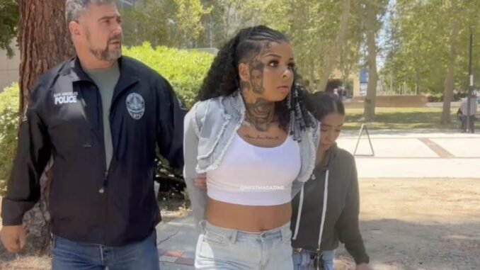 Chrisean Rock faces warrant after missing court date