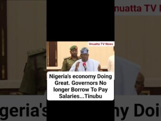 Tinubu hypes economy stability