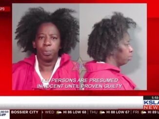 Mom accused of throwing daughter from window