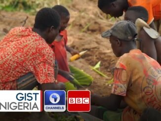 Nigeria among top 10 food crisis nations