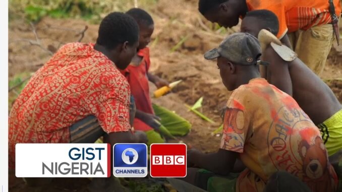 Nigeria among top 10 food crisis nations