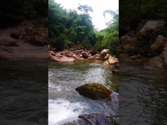 Newborn baby girl found dead in a stream