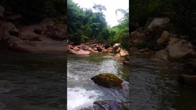 Newborn baby girl found dead in a stream