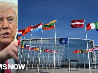 Trump criticizes NATO alliance