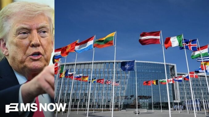 Trump criticizes NATO alliance