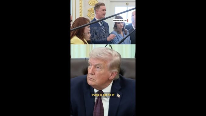 Trump slams birthright citizenship debate