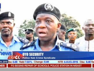 Oyo Police bust fake government document ring