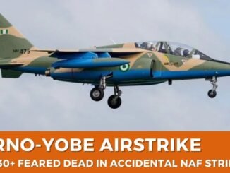 Airstrike kills 50+ at Borno-Yobe border market