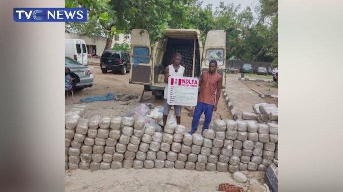 NDLEA busts international cocaine ring