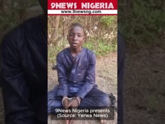 Troops arrest teen ISWAP courier in Borno